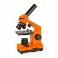 Mikroskop Levenhuk Rainbow 2L NG Orange\Pomeranč