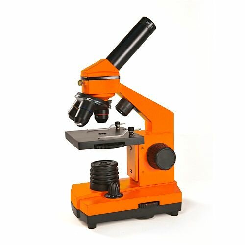 Mikroskop Levenhuk Rainbow 2L NG Orange\Pomeranč