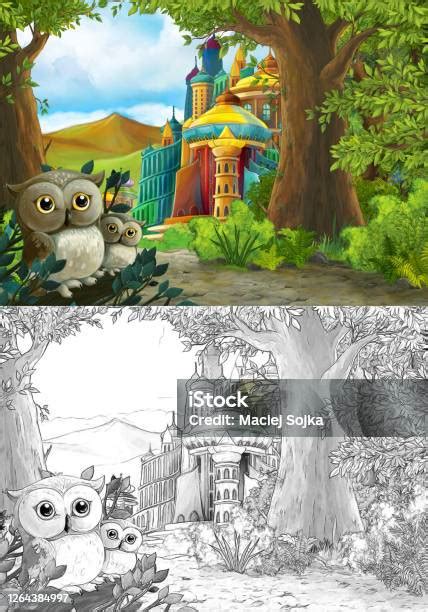 Kočičí sádlo a sovy ilustrace