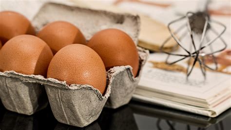 struktura kariérního vzestupu dospělého průmyslu