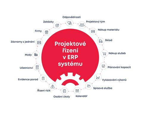 Infografika o principech řízení bez řidičáku