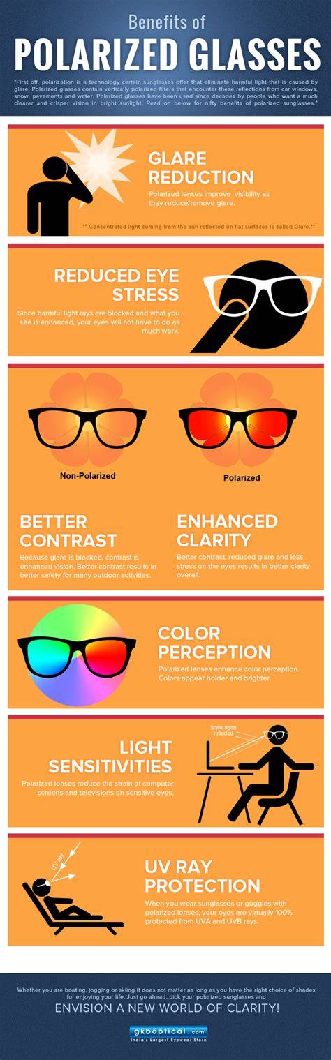 Polarization sunglasses for driving infographic