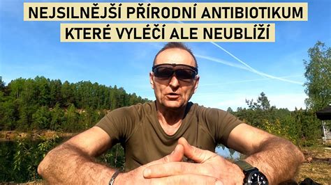 mikroskopie bakterií a plísní v přírodě