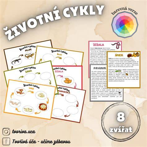 životní cyklus 3D tisku a PLA