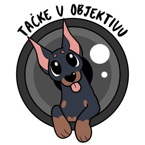 impedance a ztráty v privodech objektivu