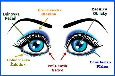 infografika fungování oka a poruchy zraku