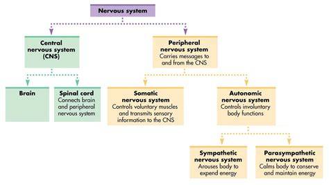montaz-zrcadla-marcell-system