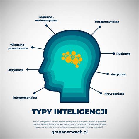 Infografika: typy kruhových zrcadel