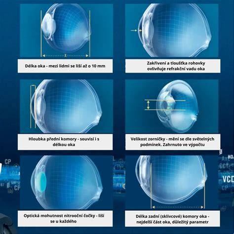 Infografika o procesu výroby brýlí a kontrole kvality