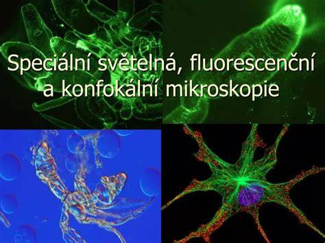 Porovnání širokoúhlé a konfokální mikroskopie