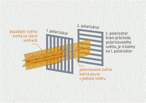 Schema: polarizace fluorescence a imunitní reakce