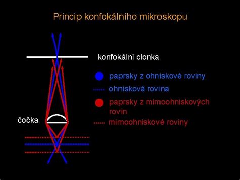 vnitřní struktury konfokálního mikroskopu