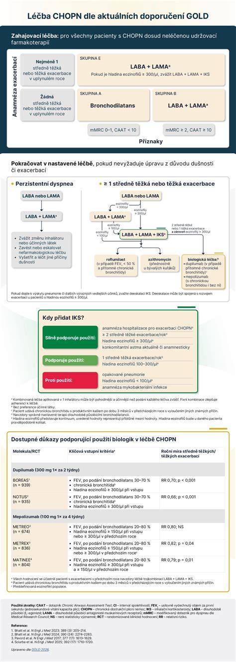 Infografika: Diagnóza MMN a léčba IVIg