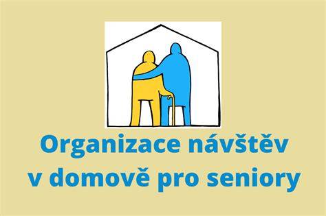 Infografika: Struktura sociální práce v domově pro seniory