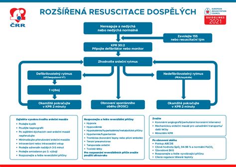 schéma rozdělení náhrad u dětí