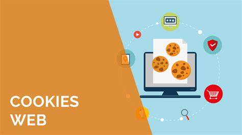 Graf ukazující typy cookies a jejich účel