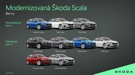 barvy skel a jejich funkce infografika