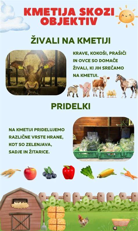 IMR objektiv a imerze vysvětlení (infografika)