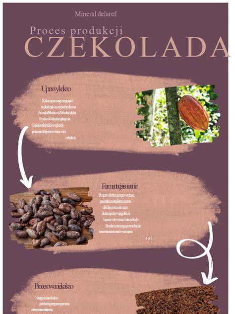 infografika - proces získání dioptrií