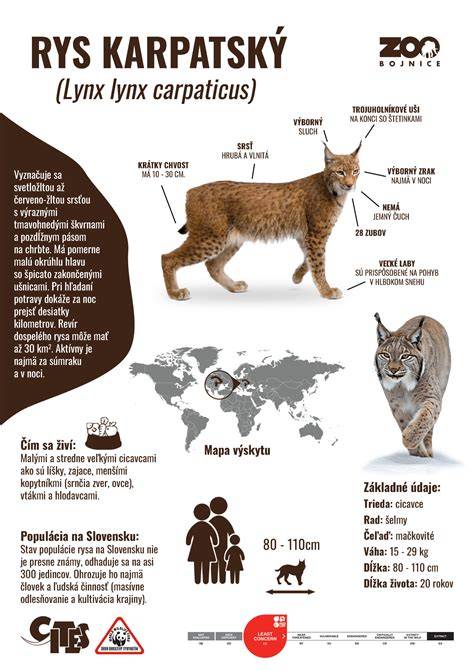 Infografika: porovnání modelů Inspire a oběžné dalekohledy