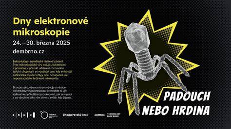 prezentace elektronové mikroskopie
