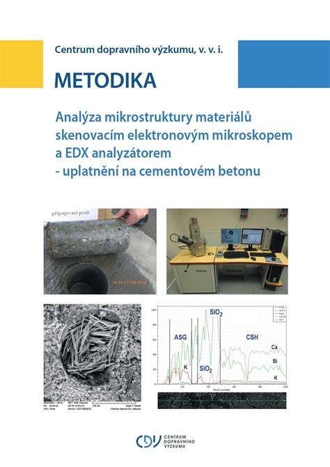SEM/EDX analýza virů a bakterií