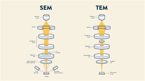 SEM vs TEM schéma