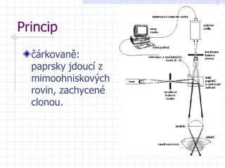 konfokalni mikroskopie obrazovy rez