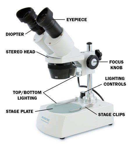 illustration of a stereo microscope setup